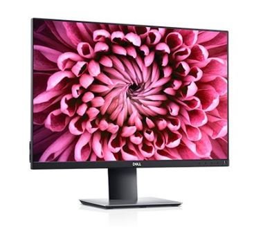 DELL A-P2421 Professional Monitor, IPS 24,1