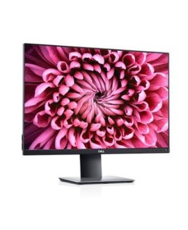 DELL A-P2421 Professional Monitor, IPS 24,1