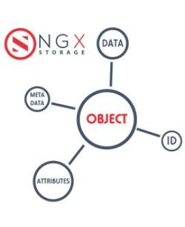NGX NGX-OS20T-LICENSE 20TB S3 Capacity License