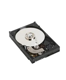 DELL 400-AFPZ 2TB Sata 3.0 7200RPM 3.5" Dahili Disk