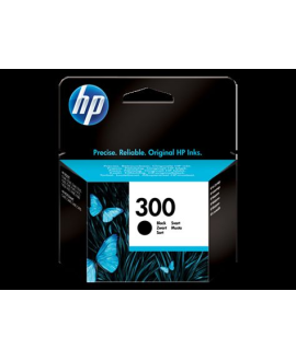 HP CC640E No 300 Siyah Kartuş